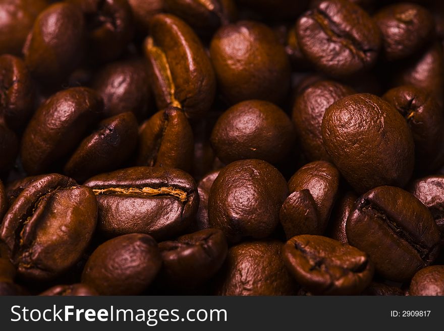 Close up of the aromatic coffe beans. Close up of the aromatic coffe beans