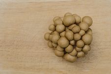 Group Of Fresh Brown Mushroom Royalty Free Stock Images Group Of Fresh Brown Mushroom Royalty Free Stock Images