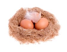 Three Yellow Balls With A Feather In The Nest Royalty Free Stock Photography Three Yellow Balls With A Feather In The Nest Royalty Free Stock Photography