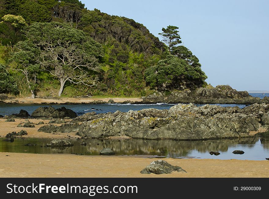 Wild beach in New Zealand