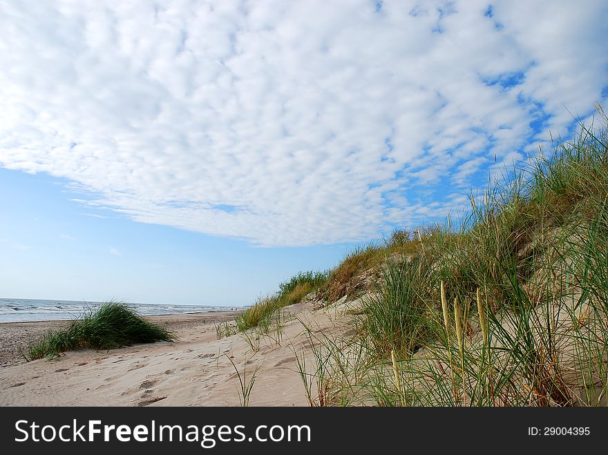View of the Baltic sea shore with sand dunes