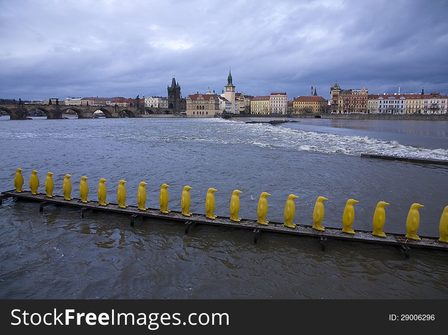Vltava river with a number of yellow penguins. Vltava river with a number of yellow penguins