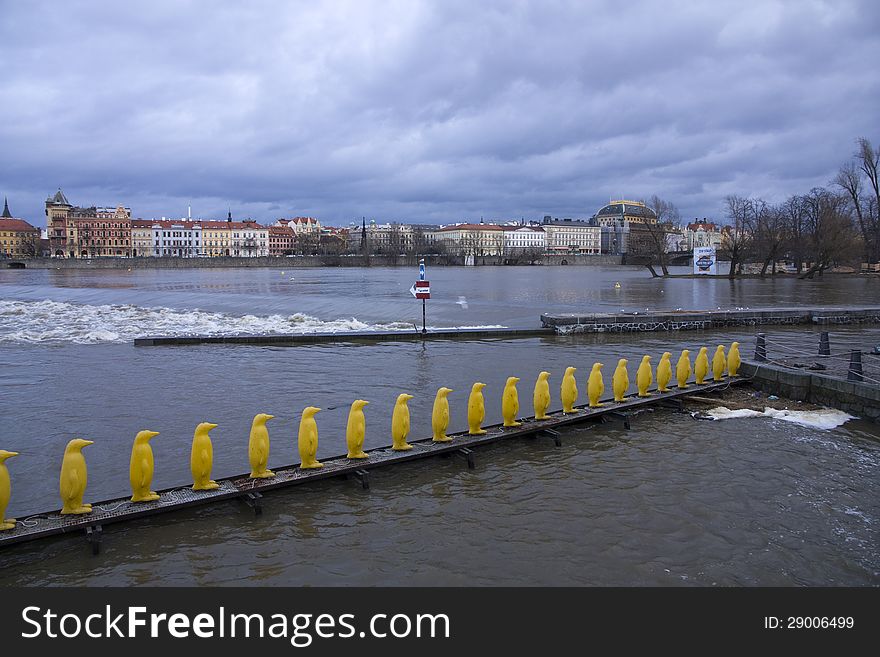 Yellow penguins on the vltava