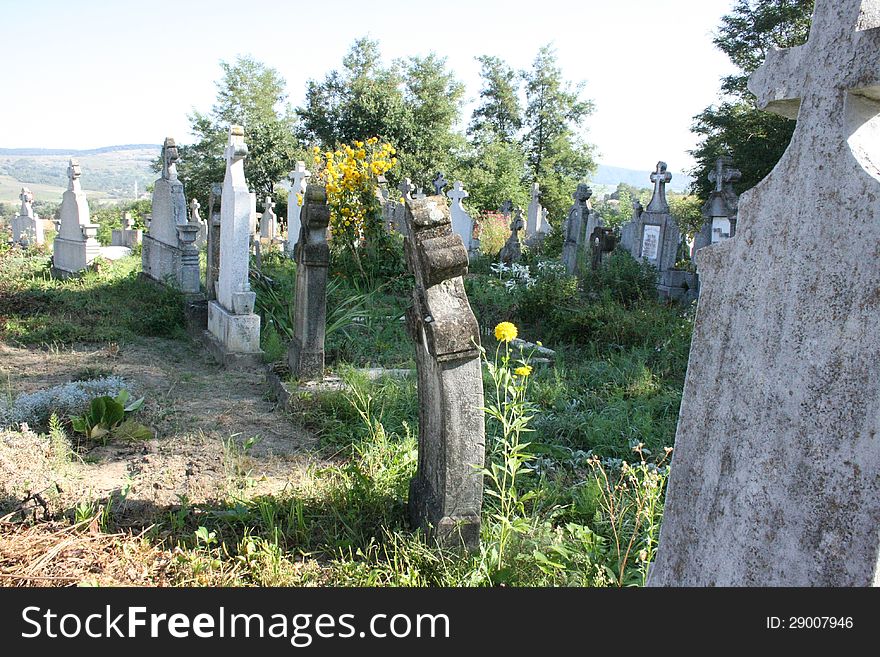 Inside a cemetery a bending cross near a yellow flower