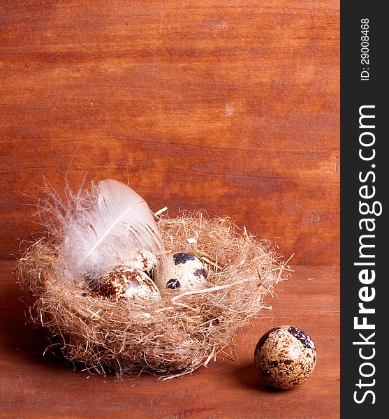 Quail egg near the nest with eggs and feather of a bird on wooden background