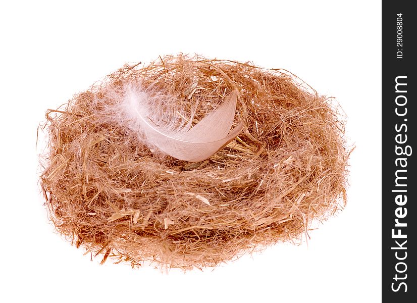 Chicken feather in the nest isolated