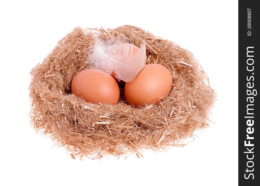 Three yellow balls with a feather in the nest isolated