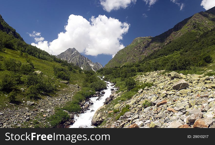 Small mountain valley with subalpine vegetetion and little stream