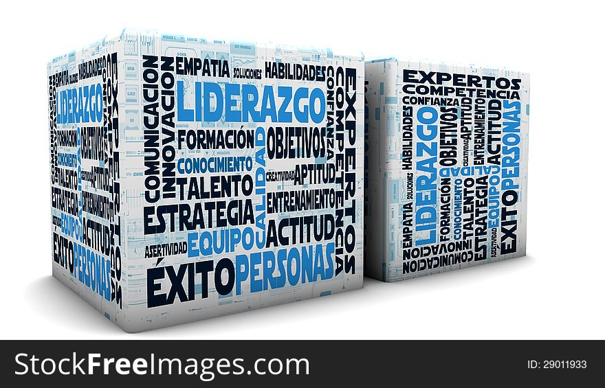 Leadership concepts in spanish and white background