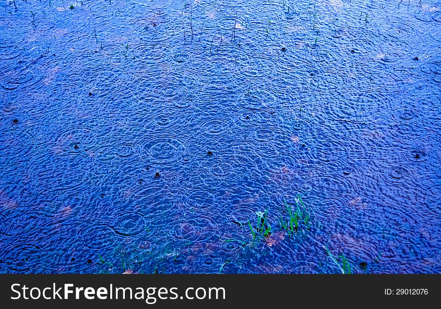 Rippled Water Surface With Drops. Rippled Water Surface With Drops