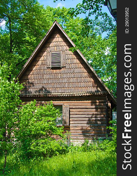 Old house in the woods on a sunny day