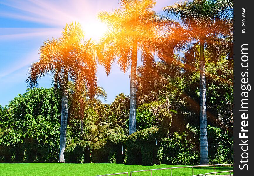 Bushes Cut To Animal Figures In The Park. Sunset In Tenerife Island, Spain. Tourist Hotel Resort