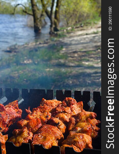 Close-up of pork skewers outdoors under real charcoal. Barbecue on the background of the Dnieper River and green grass