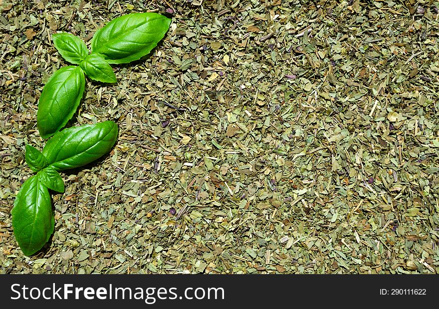 Dried basil. Purple and green basil as background. Spicy seasoning for culinary recipes