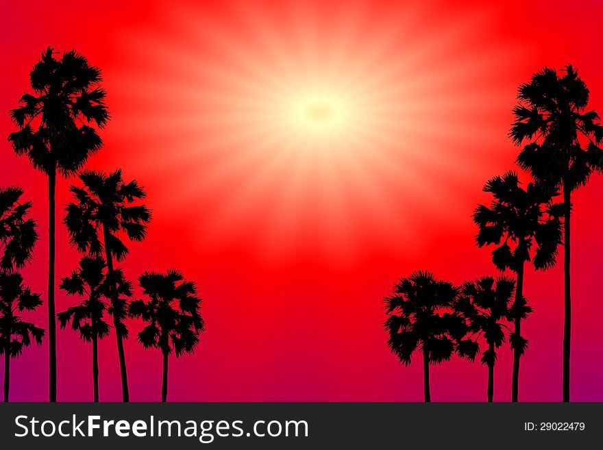 Palms  Silhouette