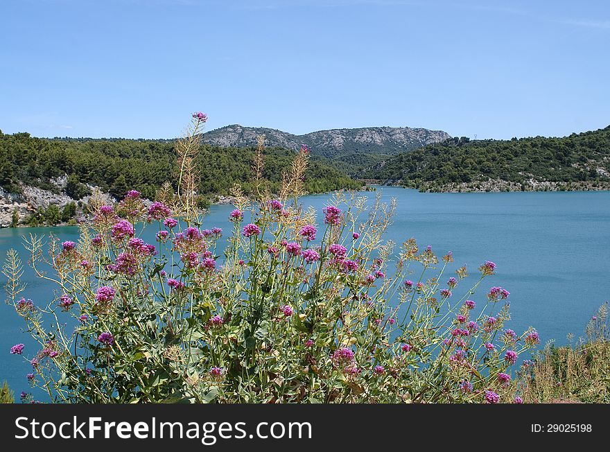 Lake in Provence, south of france, view accross pink flowers.