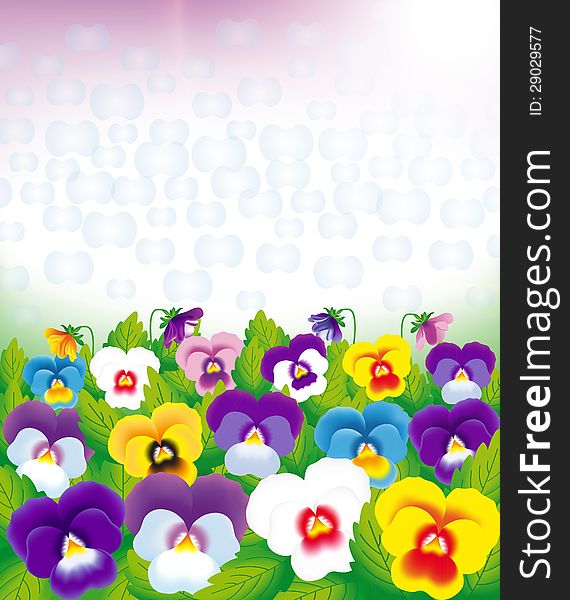 Field of violets on a colored background, vector drawing