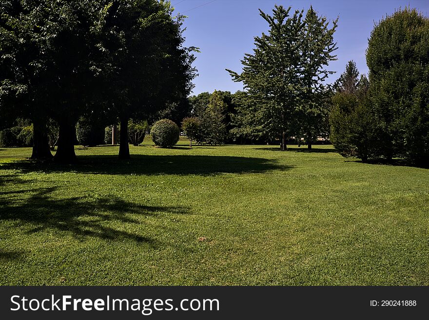 Lawn With Trees On A Clear Sunny Day