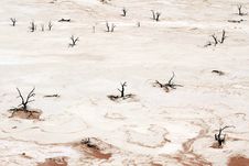 Sossusvlei Dead Valley Landscape In The Nanib Desert Near Sesrie Royalty Free Stock Photos