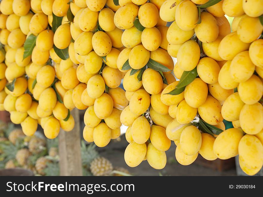 Marian plum or Maprang-tropical fruit in Thailand. Marian plum or Maprang-tropical fruit in Thailand