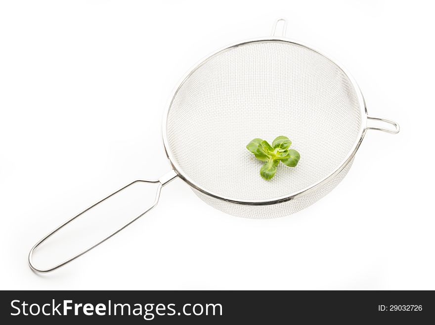 Lamb S Lettuce On Strainer