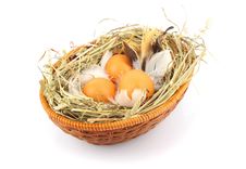 Eggs In Basket Royalty Free Stock Photo Eggs In Basket Royalty Free Stock Photo