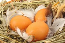 Eggs In Basket Stock Images