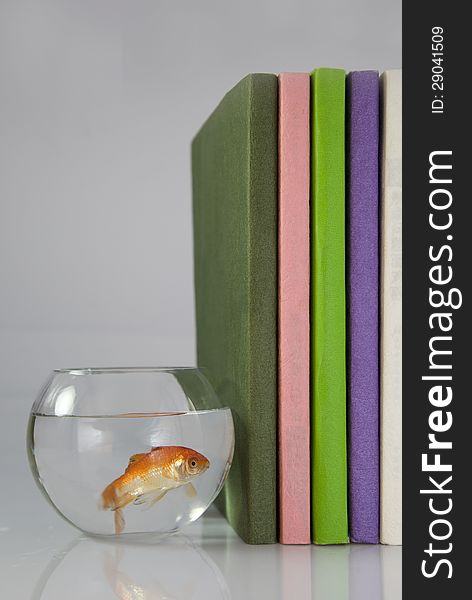 Fish Tank And Books