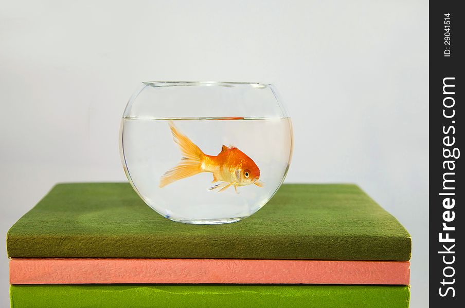 A goldfish in the tank on the books. A goldfish in the tank on the books