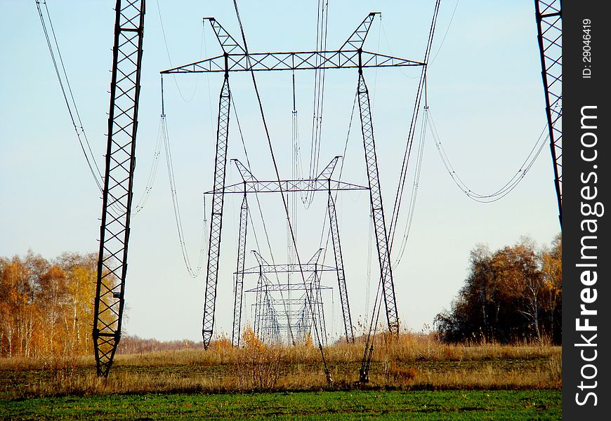 The power line passes through the woods of Altai
