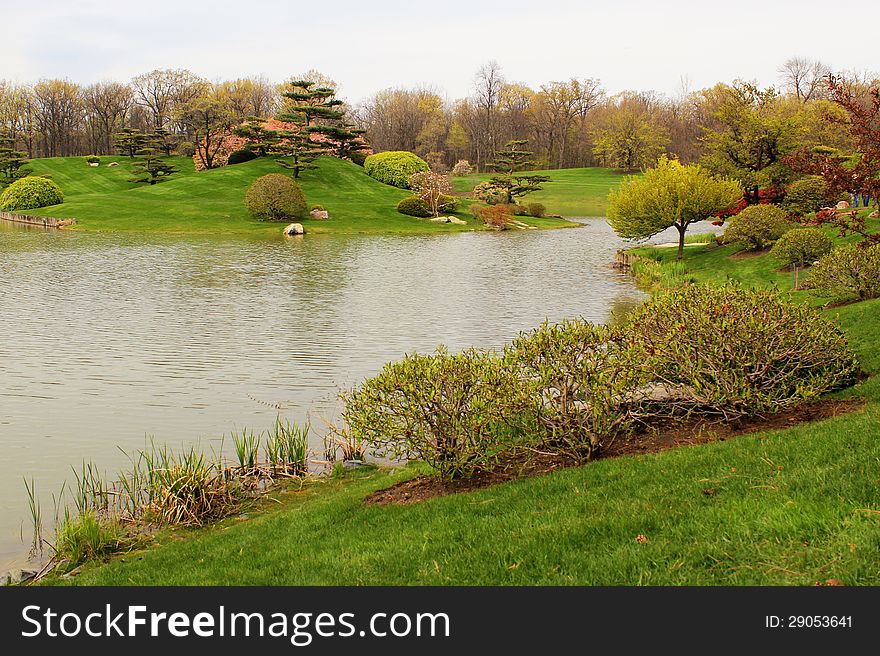 Spring lush landscape in the botanical garden. Spring lush landscape in the botanical garden