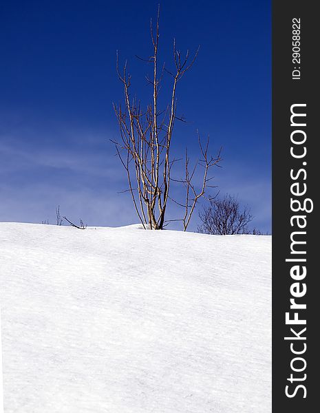 Skies and landforms in snow in outdoor scene. Skies and landforms in snow in outdoor scene