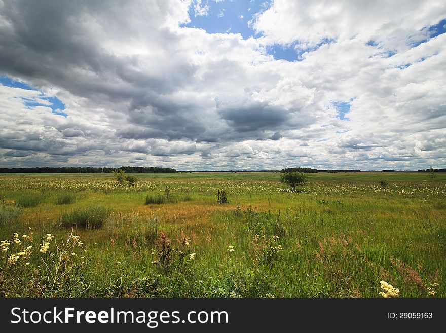 Cumulus clouds above the green meadow. Omsk Region. Russia.