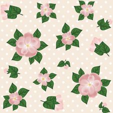 Roses Background Stock Images Roses Background Stock Images