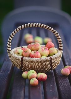 Red Apples In The Basket Stock Images