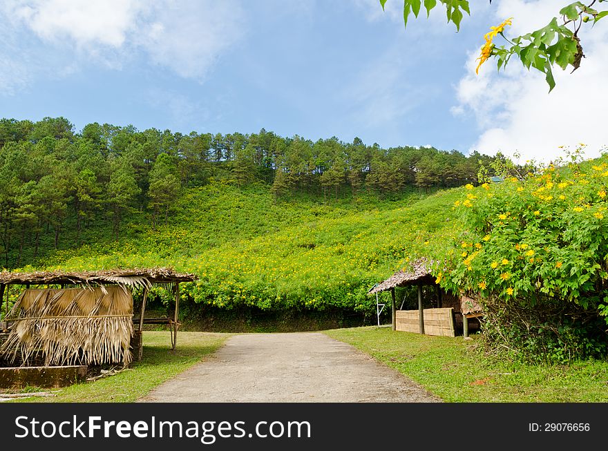 Scenic Mae Uko mountain. Mae Hong Son in northern Thailand.