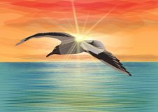 Seagull Flying Over The Sea In Front Of The Sun Royalty Free Stock Images Seagull Flying Over The Sea In Front Of The Sun Royalty Free Stock Images