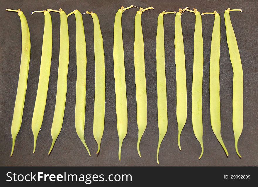 A Display of a Row of Runner Beans.