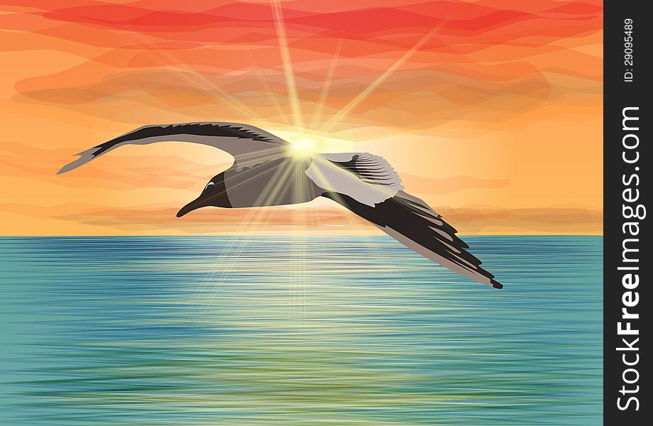 Seagull flying over the sea in front of the sun