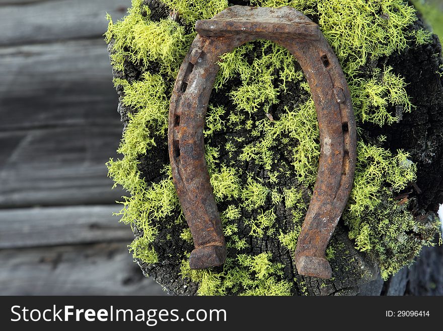 Rusty horseshoe with a mossy green background. Rusty horseshoe with a mossy green background