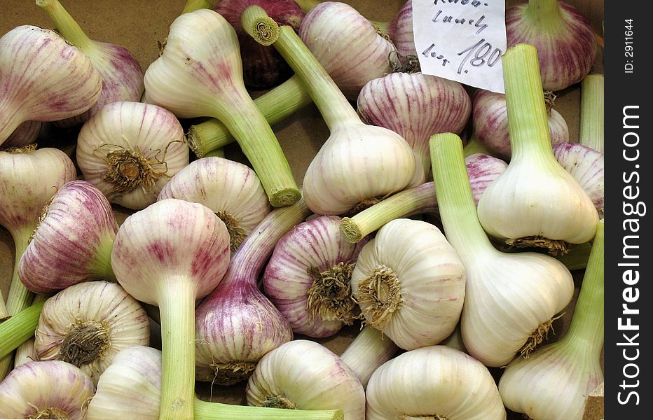 Garlic for sale in farmers' market in Germany, with green stalks. Garlic for sale in farmers' market in Germany, with green stalks