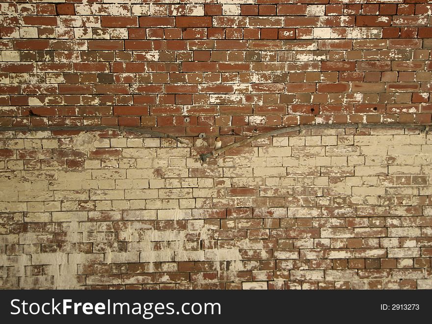 Brick Wall With Bird