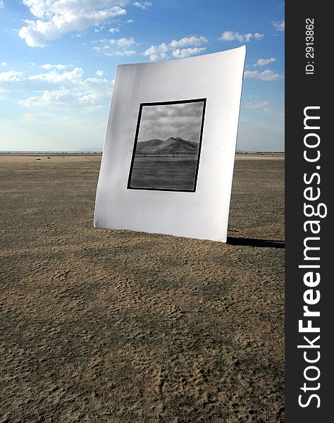A unique abtract photo of matting in the desert. A unique abtract photo of matting in the desert
