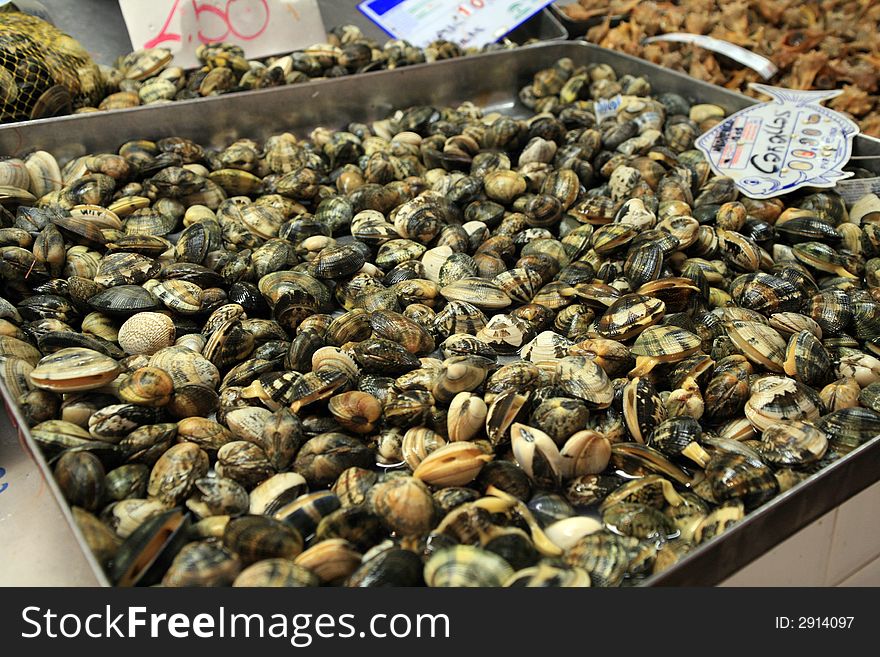 Fresh type of clam in the fishermonger market ready for sell. Fresh type of clam in the fishermonger market ready for sell