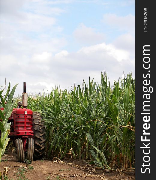 red tractor in corn field