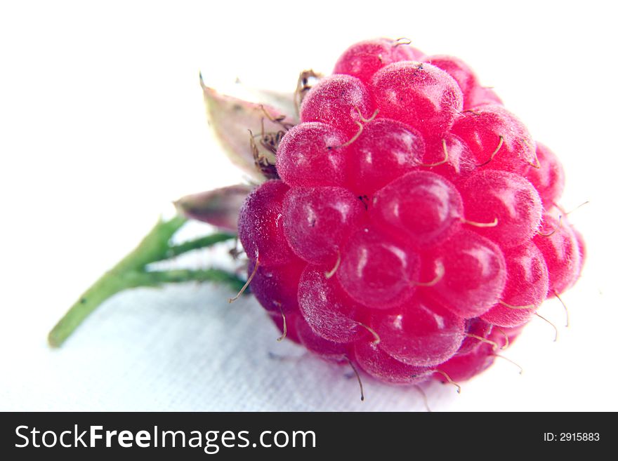 Raspberry isolated in White Background