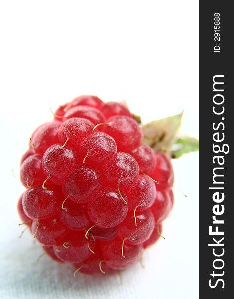 Raspberry isolated in White Background