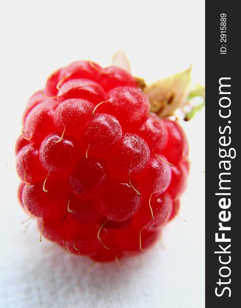 Raspberry isolated in White Background