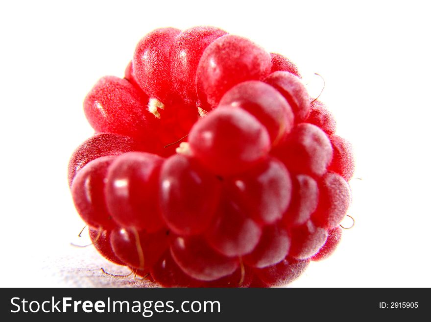 Raspberry isolated in White Background