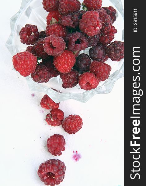 Raspberry isolated in White Background